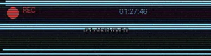 91档案 - 罗丽星克莱尔啄木鸟 第一夫人 原创影像平台